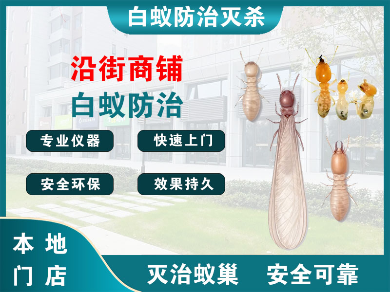 海陵沿街商铺白蚁防治