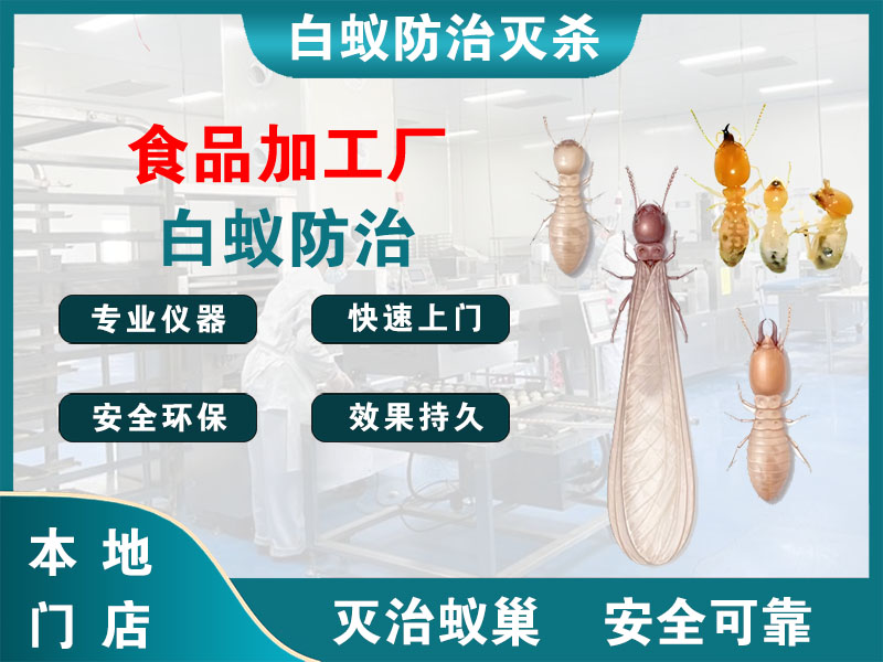 海陵食品加工厂白蚁防治