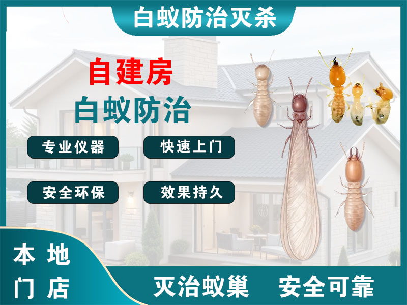 海陵自建房白蚁防治