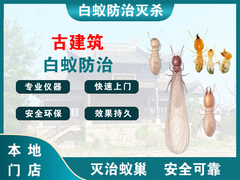 海陵古建筑白蚁防治