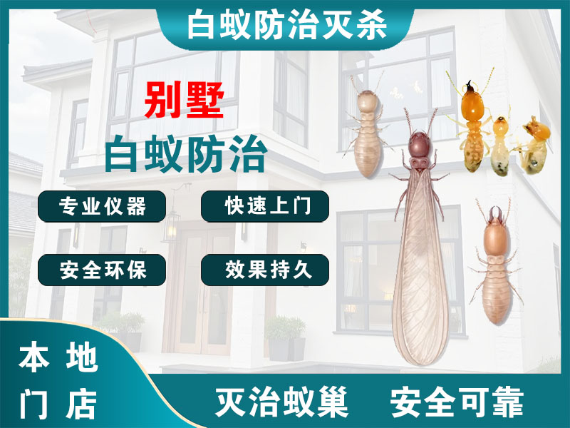 海陵别墅白蚁防治