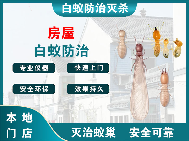 海陵房屋白蚁防治